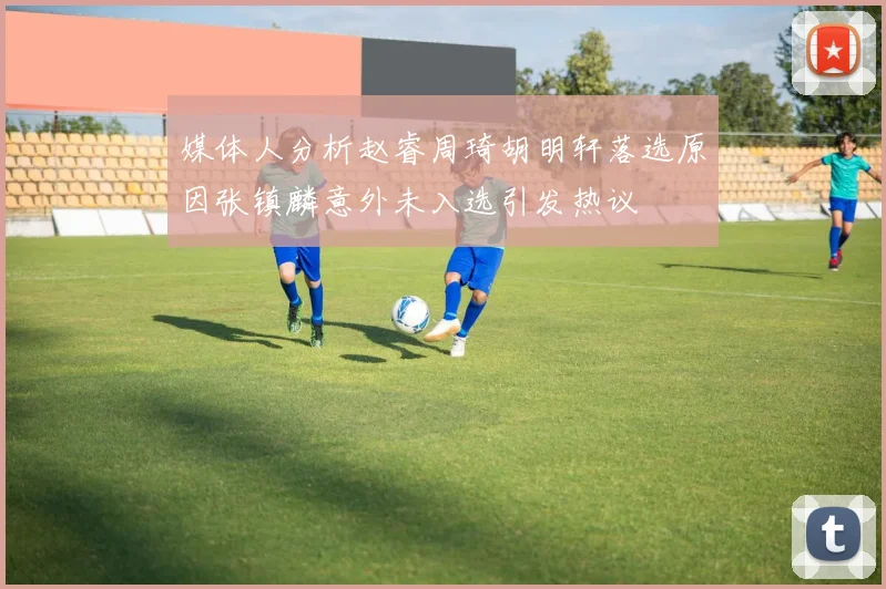 媒体人分析赵睿周琦胡明轩落选原因张镇麟意外未入选引发热议