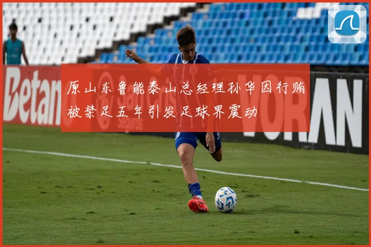 原山东鲁能泰山总经理孙华因行贿被禁足五年引发足球界震动